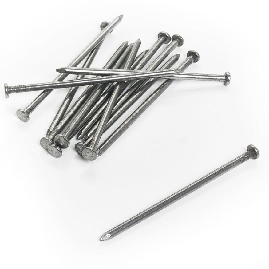 Stainless Steel Nails